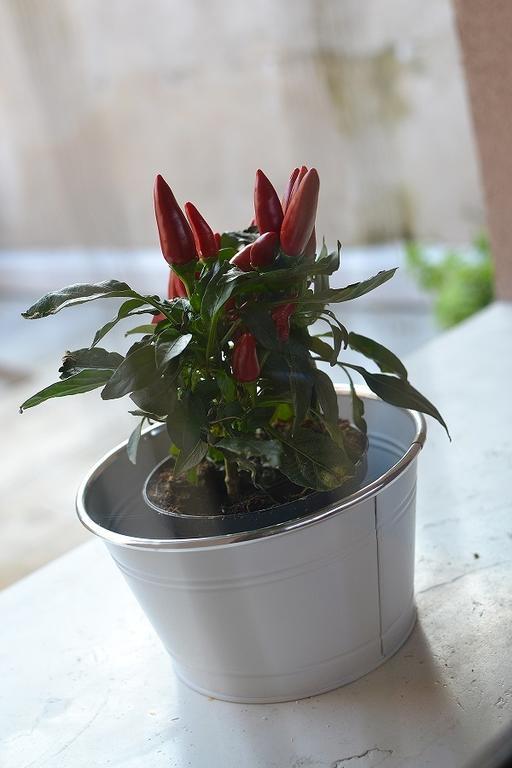 포브델그라파 La Salvia E Il Lampone B&B 외부 사진